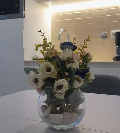 公寓 Light Brown 阿威罗