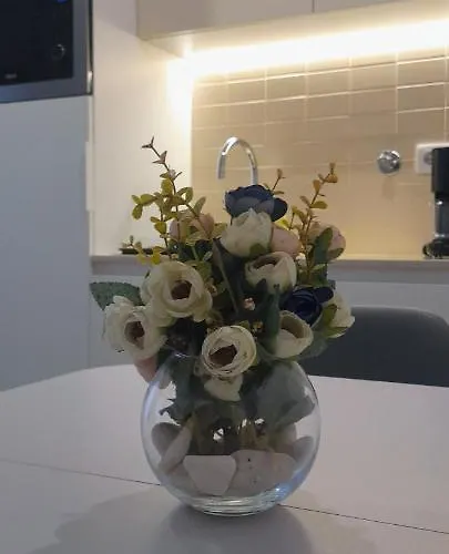 Apartamento Light Brown Aveiro